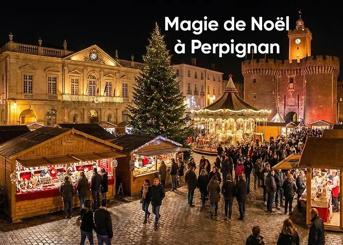 Duplex 39 M2 Centre Wi Fi Debit Perpignan